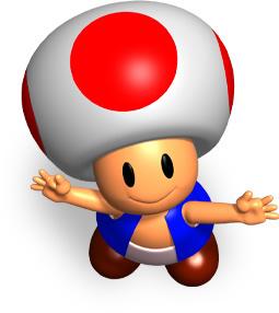 Toad looking up