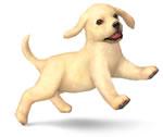 Nintendog